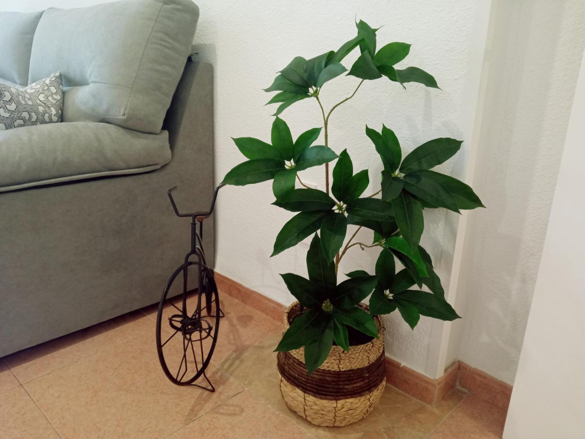 Apartamento Los Jardines De La Magdalena Cordoba Dış mekan fotoğraf